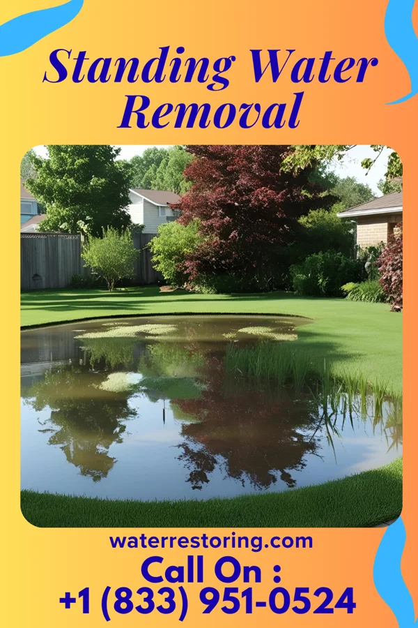 Standing Water Removal in South Whitley, IN